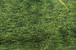 Kelim Marokkanische Berber Teppich Azilal 280 X 200 Cm -Teppichgeschäft 47c 89167.jpg